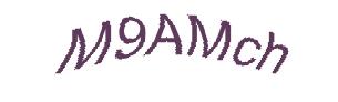 عبارت امنیتی