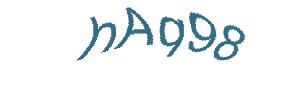 عبارت امنیتی