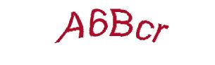عبارت امنیتی