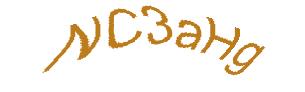عبارت امنیتی