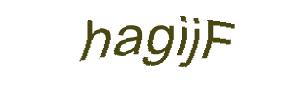 عبارت امنیتی