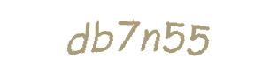 عبارت امنیتی