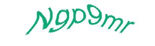 عبارت امنیتی