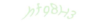عبارت امنیتی