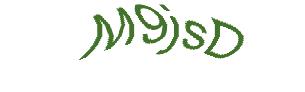 عبارت امنیتی