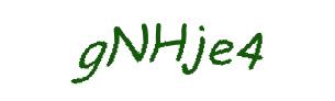 عبارت امنیتی