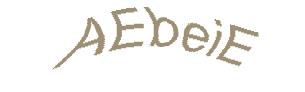 عبارت امنیتی