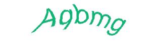 عبارت امنیتی