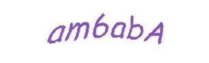 عبارت امنیتی