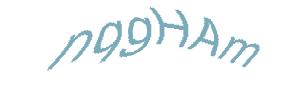 عبارت امنیتی