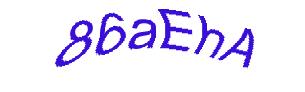 عبارت امنیتی