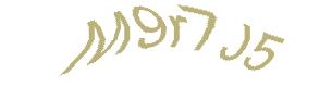 عبارت امنیتی