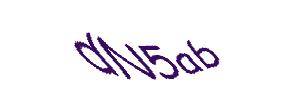 عبارت امنیتی