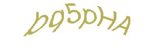 عبارت امنیتی