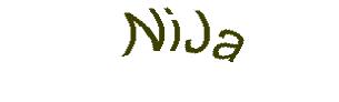 عبارت امنیتی