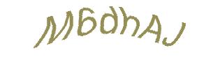 عبارت امنیتی