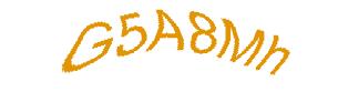عبارت امنیتی