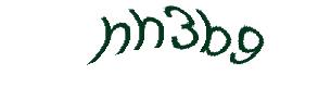 عبارت امنیتی