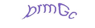 عبارت امنیتی