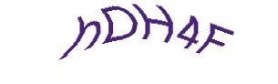 عبارت امنیتی