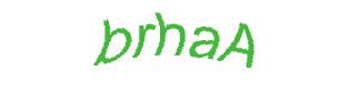 عبارت امنیتی