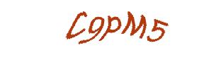 عبارت امنیتی