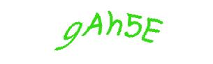 عبارت امنیتی