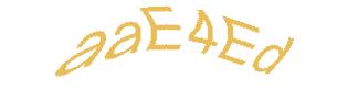 عبارت امنیتی