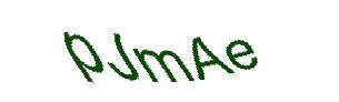 عبارت امنیتی