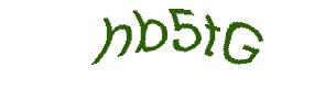 عبارت امنیتی