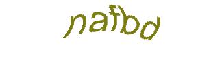 عبارت امنیتی