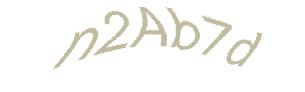 عبارت امنیتی