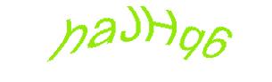 عبارت امنیتی