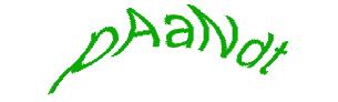 عبارت امنیتی