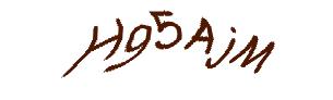 عبارت امنیتی