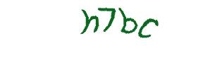 عبارت امنیتی