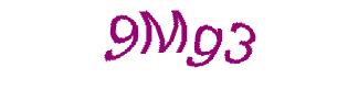 عبارت امنیتی