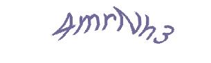 عبارت امنیتی
