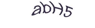 عبارت امنیتی