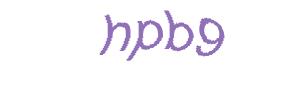 عبارت امنیتی