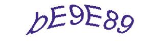 عبارت امنیتی