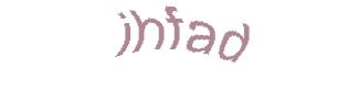 عبارت امنیتی