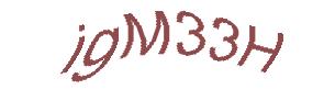عبارت امنیتی