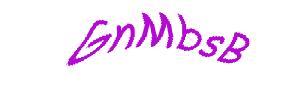 عبارت امنیتی