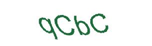 عبارت امنیتی