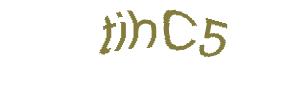 عبارت امنیتی