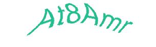 عبارت امنیتی