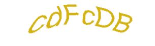 عبارت امنیتی