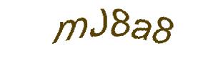 عبارت امنیتی
