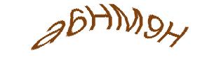 عبارت امنیتی
